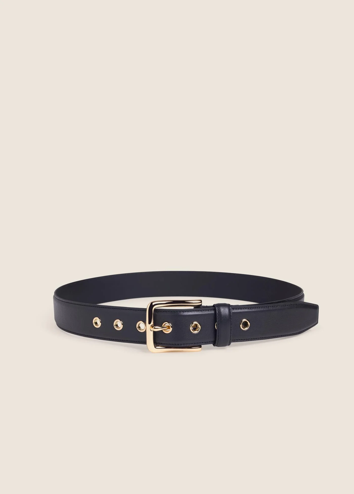 The Spotlight Belt
